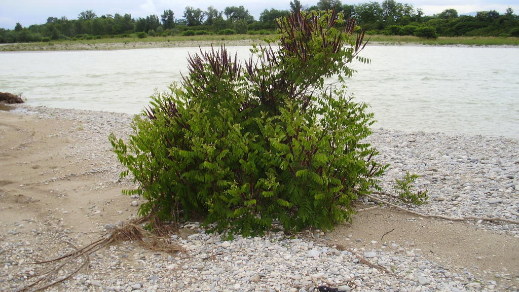 Stasion Di Pueste Nogaredo Buitenkant foto